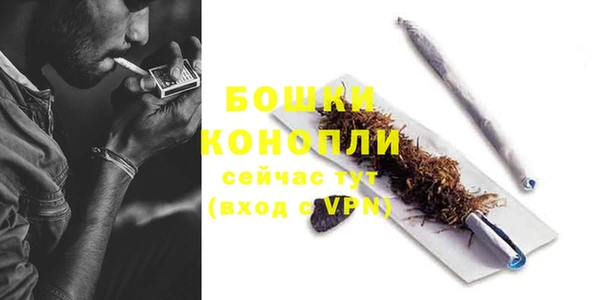 ГАЛЛЮЦИНОГЕННЫЕ ГРИБЫ Окуловка