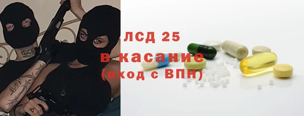 эйфоретик Тайга