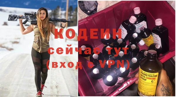 эйфоретик Тайга