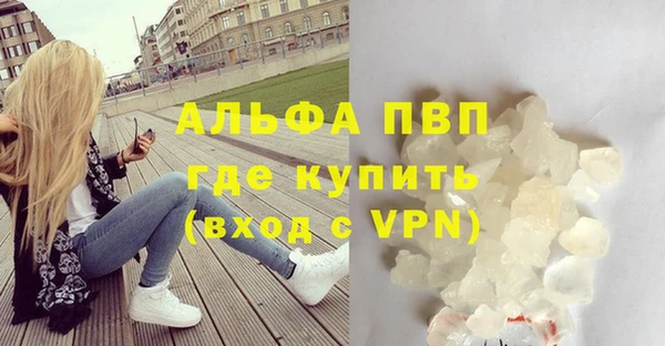 эйфоретик Тайга