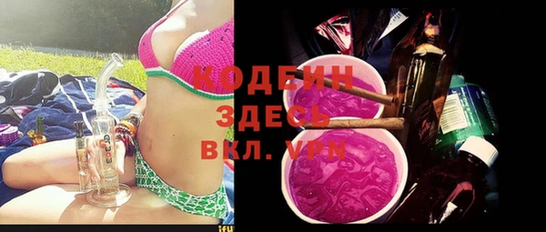 эйфоретик Тайга