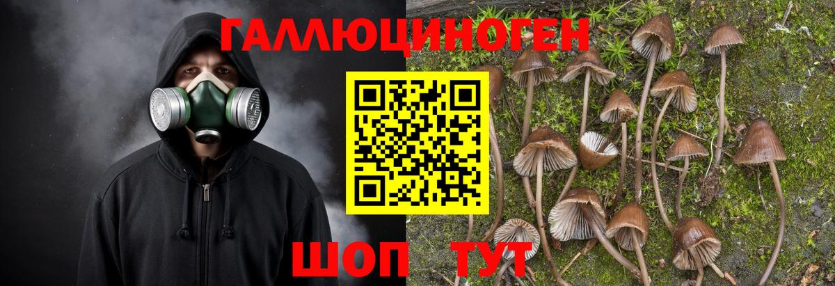 Галлюциногенные грибы прущие грибы  Вход с VPN  Балаково  Псилоцибиновые грибы мухоморы 