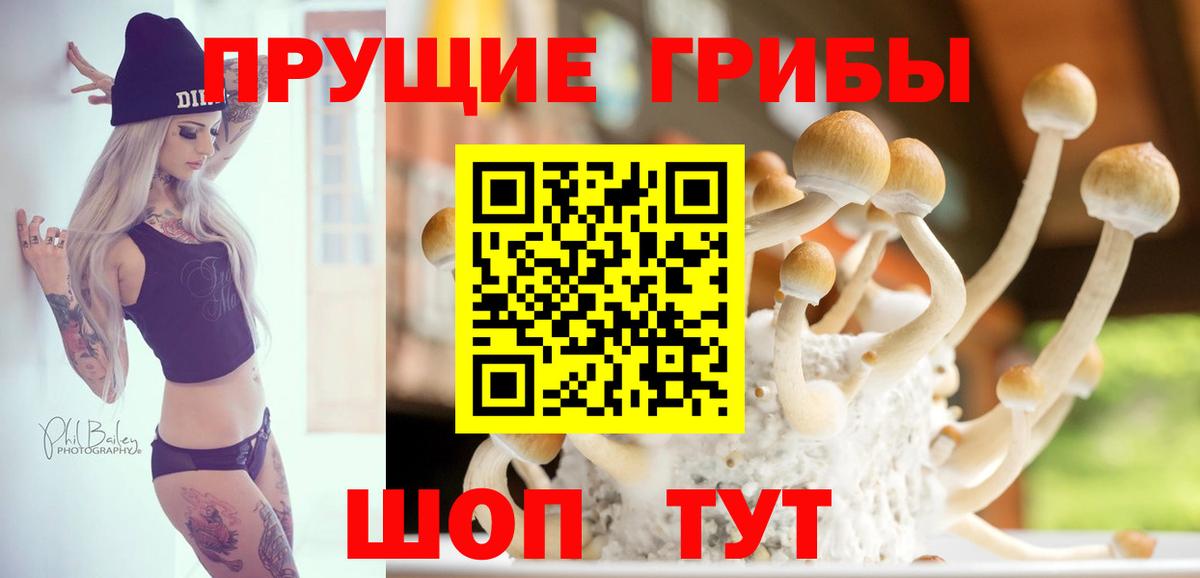 Псилоцибиновые грибы прущие грибы Балаково